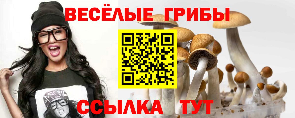 Домодедово  Псилоцибиновые грибы ЛСД  Галлюциногенные грибы Magic Shrooms  Вход с VPN 